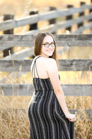 Blog Posts